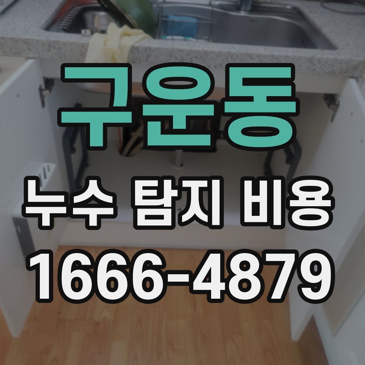 구운동 누수 탐지 비용