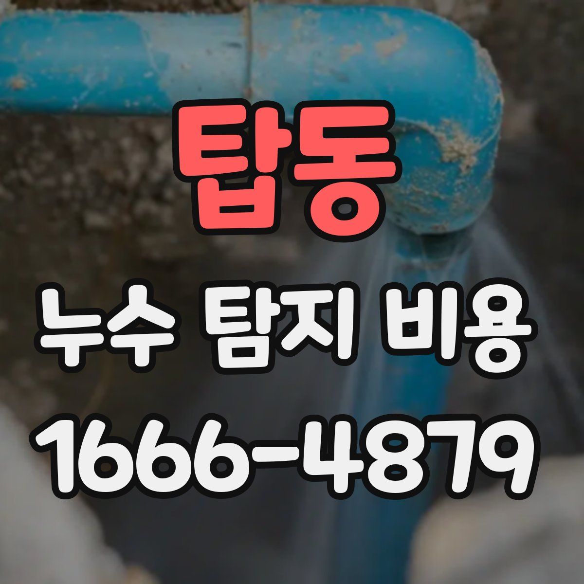 탑동 누수 탐지 비용