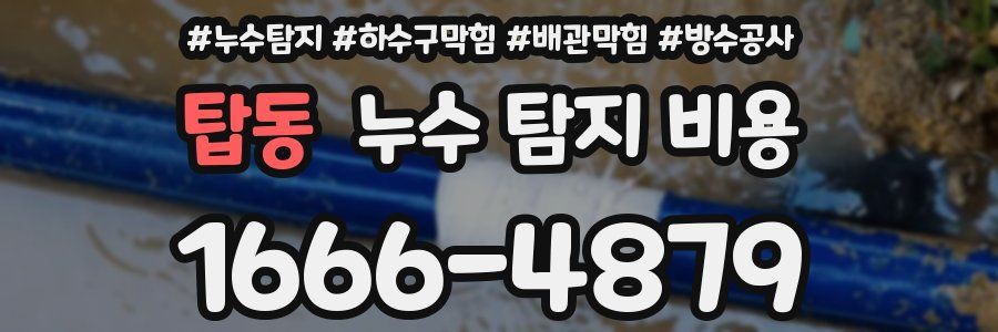 탑동 누수 탐지 비용