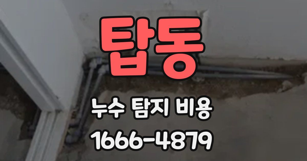 탑동 누수 탐지 비용