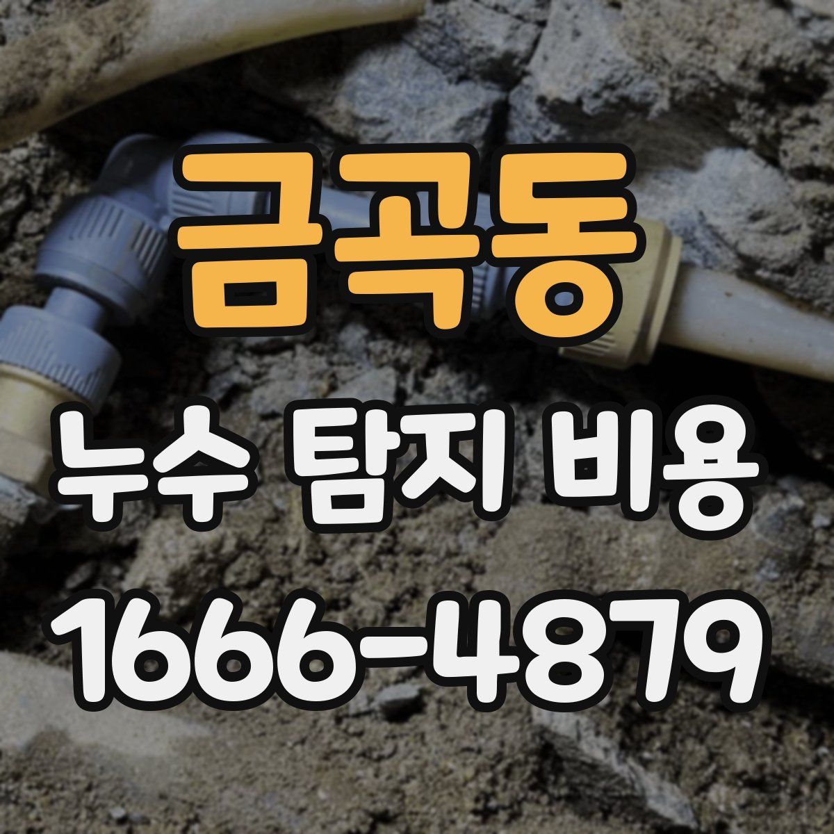 금곡동 누수 탐지 비용