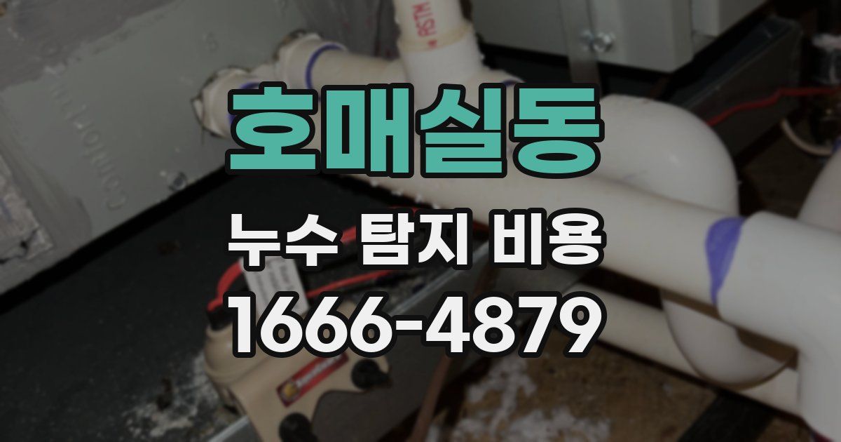 호매실동 누수 탐지 비용