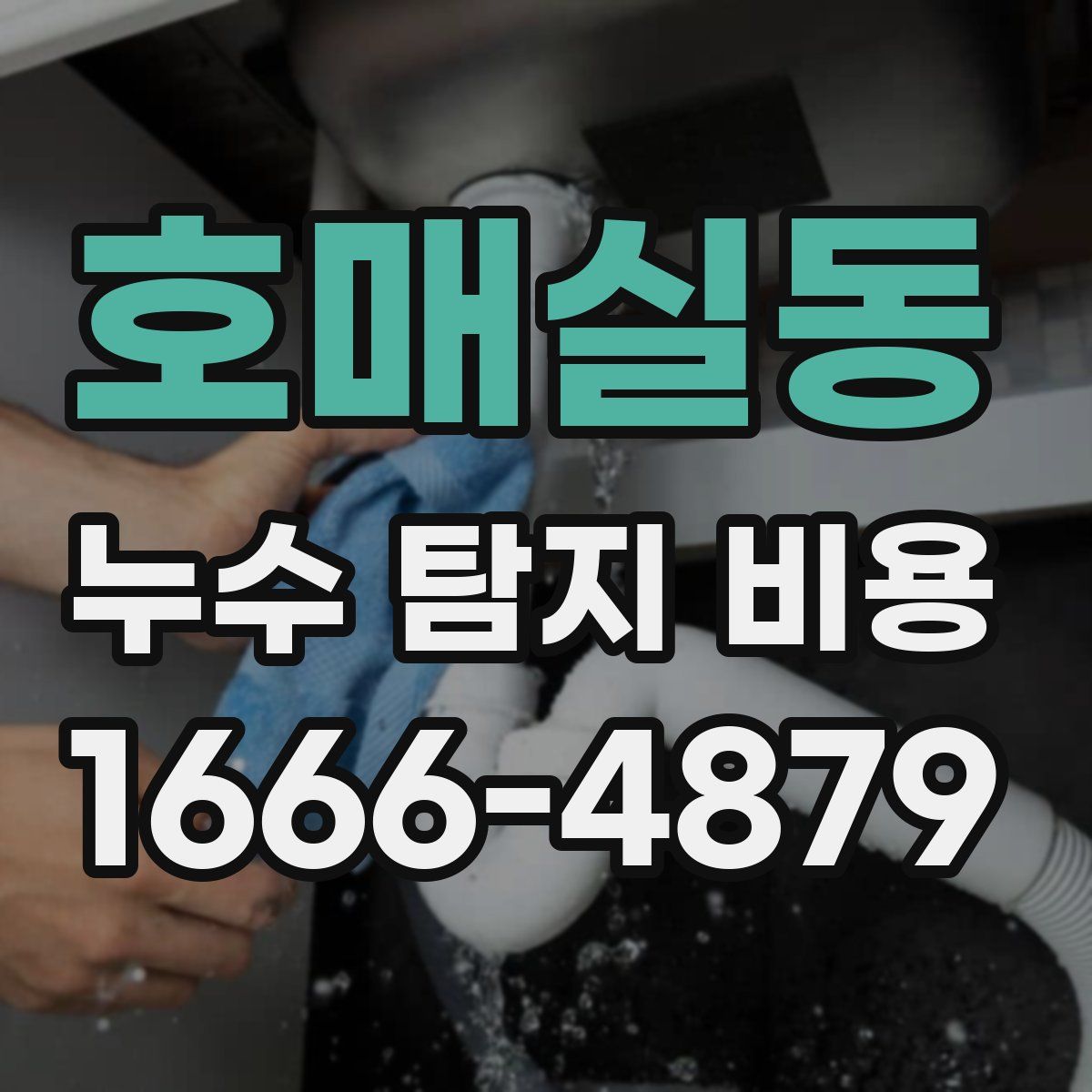 호매실동 누수 탐지 비용