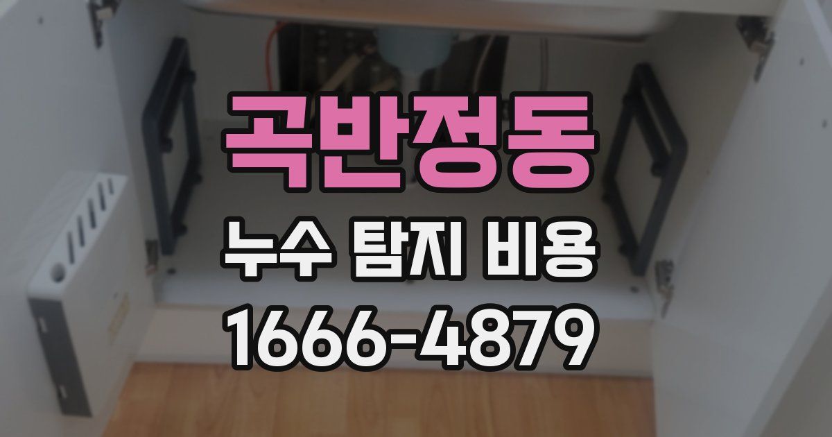 곡반정동 누수 탐지 비용