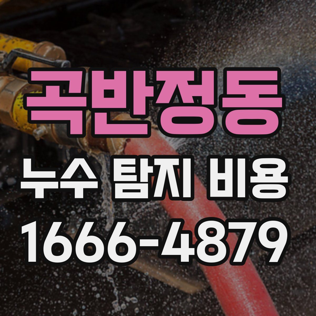 곡반정동 누수 탐지 비용