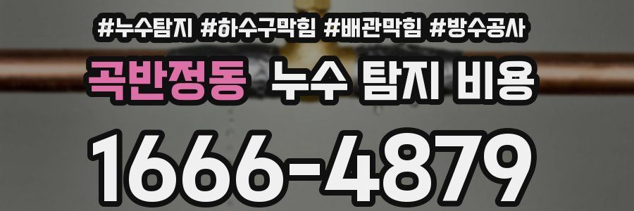 곡반정동 누수 탐지 비용