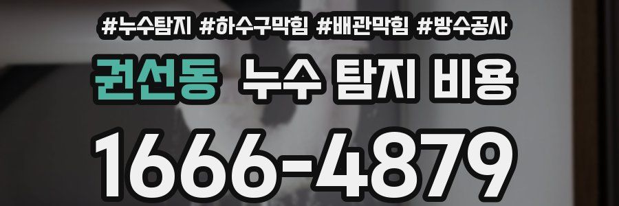 권선동 누수 탐지 비용