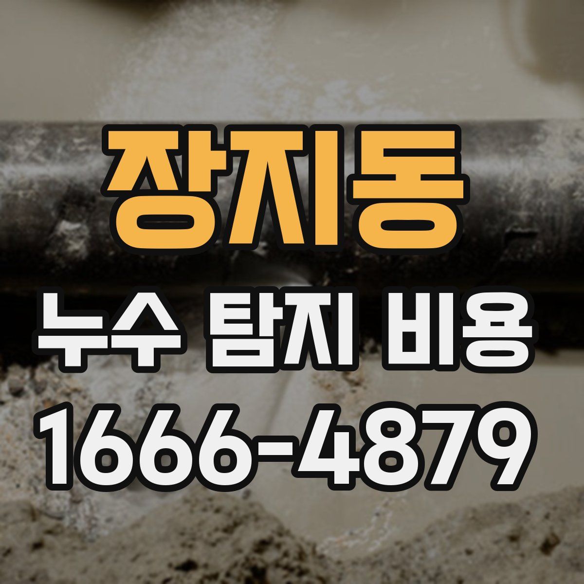 장지동 누수 탐지 비용