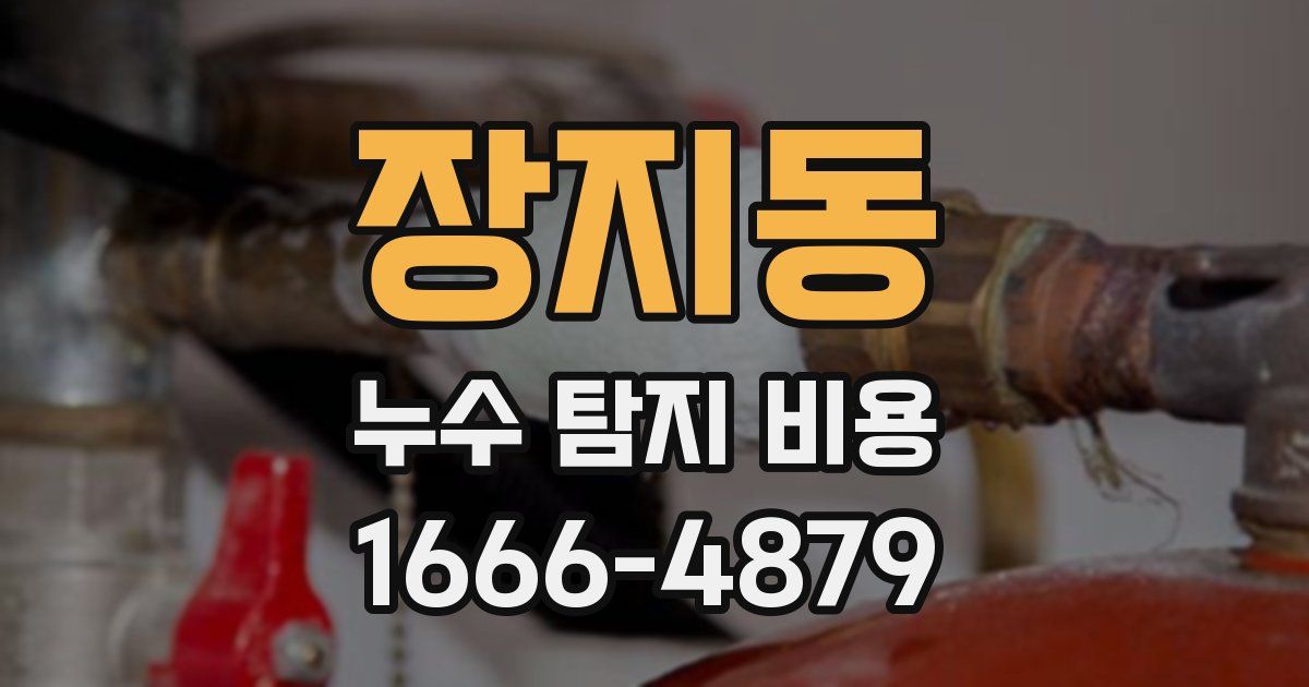 장지동 누수 탐지 비용