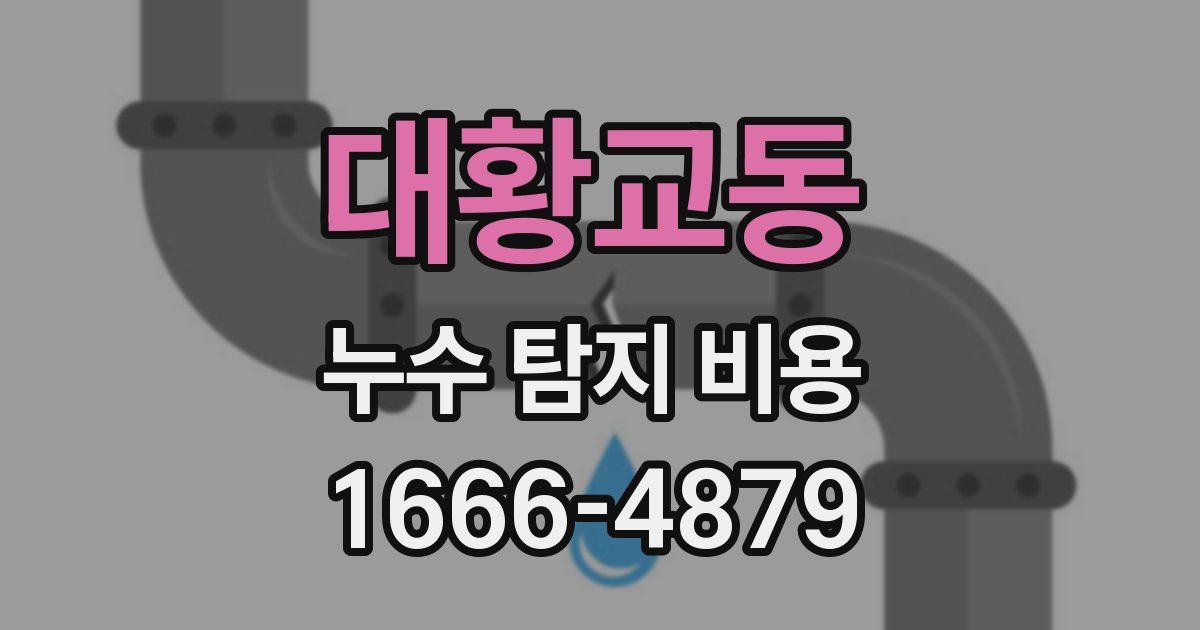 대황교동 누수 탐지 비용