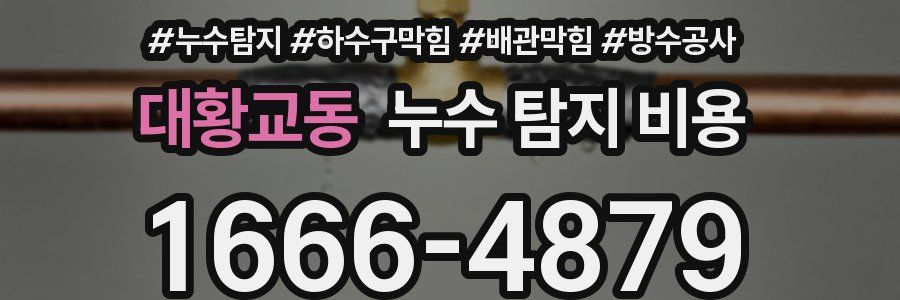 대황교동 누수 탐지 비용