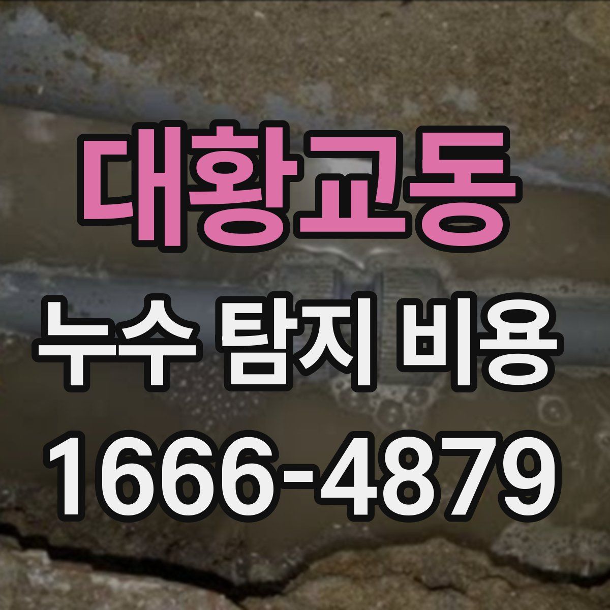 대황교동 누수 탐지 비용
