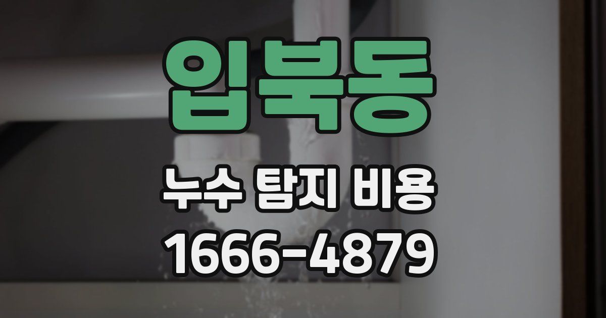 입북동 누수 탐지 비용