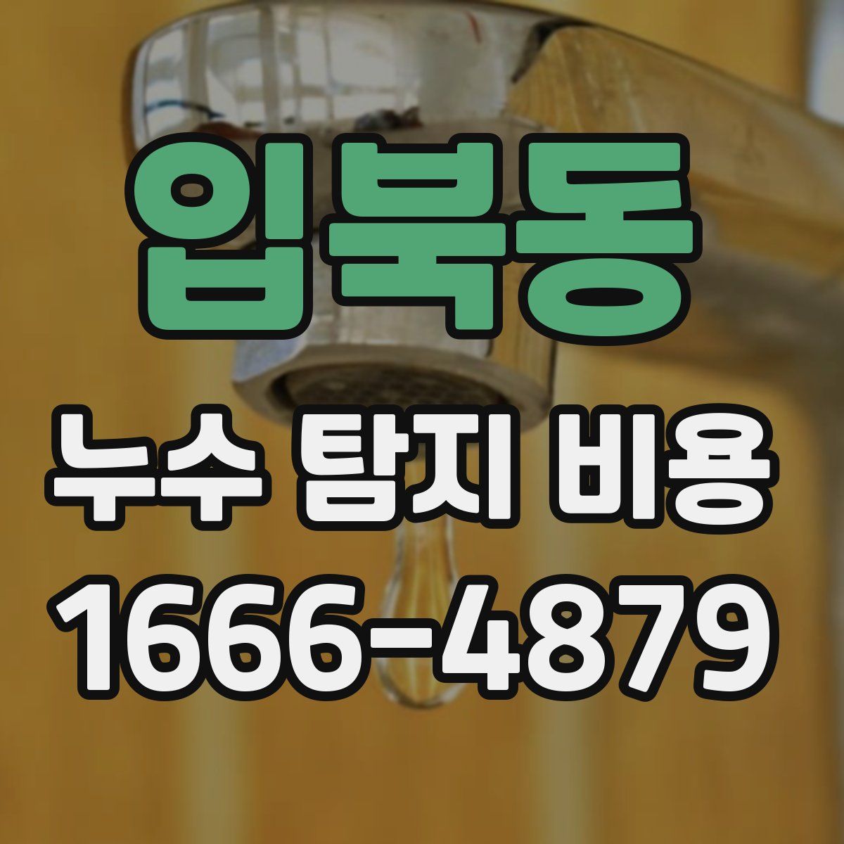 입북동 누수 탐지 비용