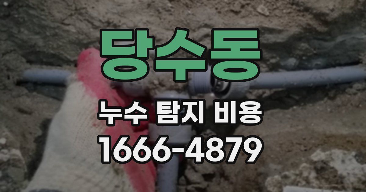 당수동 누수 탐지 비용
