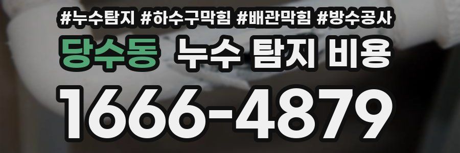 당수동 누수 탐지 비용