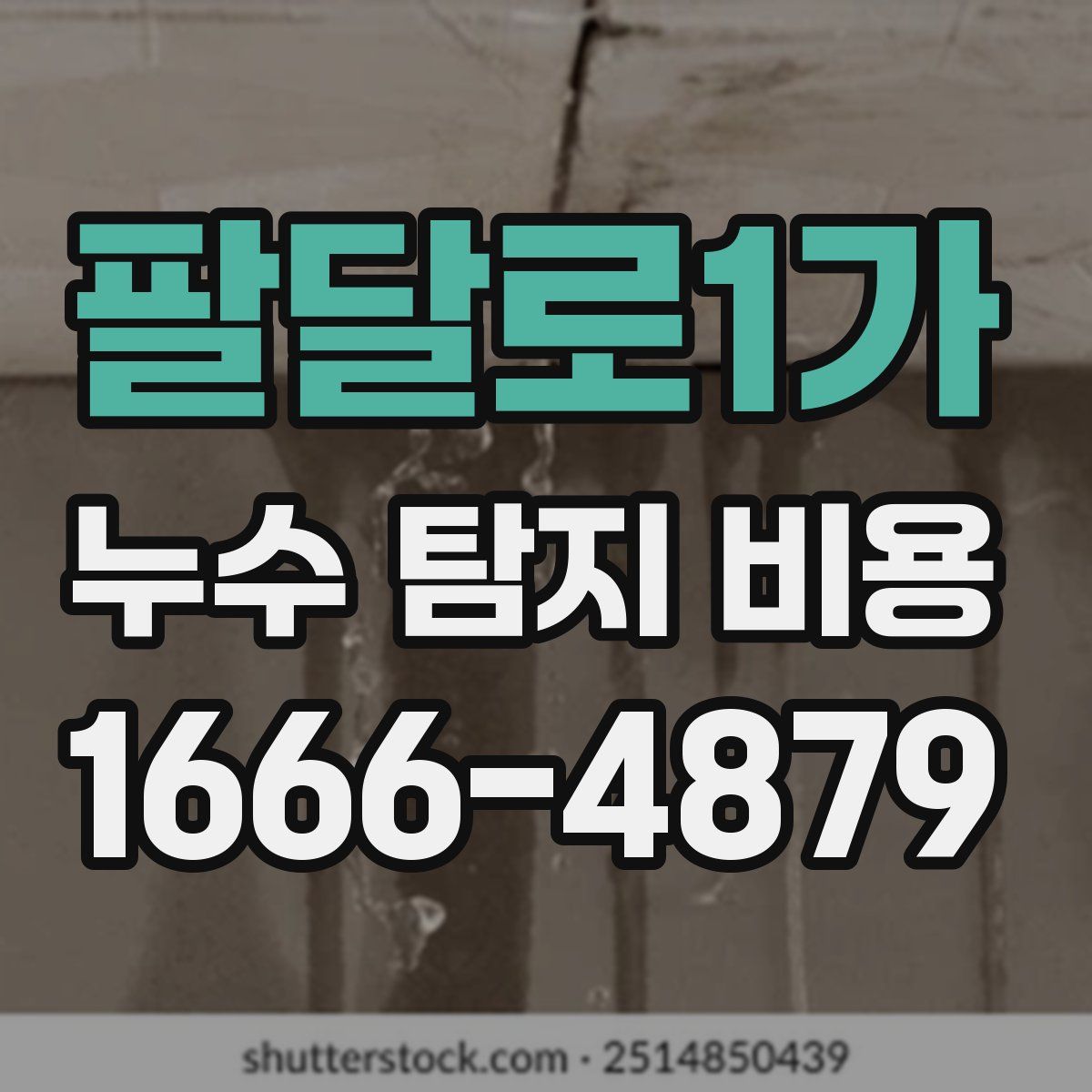 팔달로1가 누수 탐지 비용