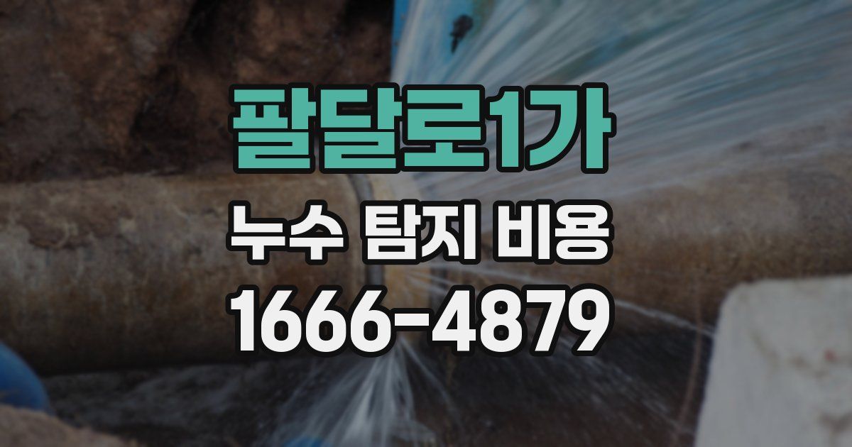 팔달로1가 누수 탐지 비용