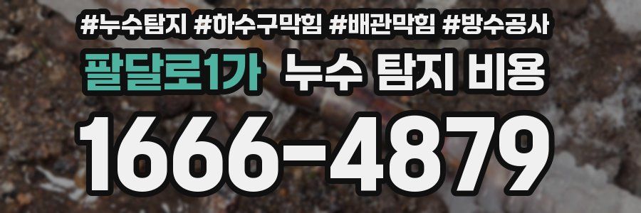 팔달로1가 누수 탐지 비용