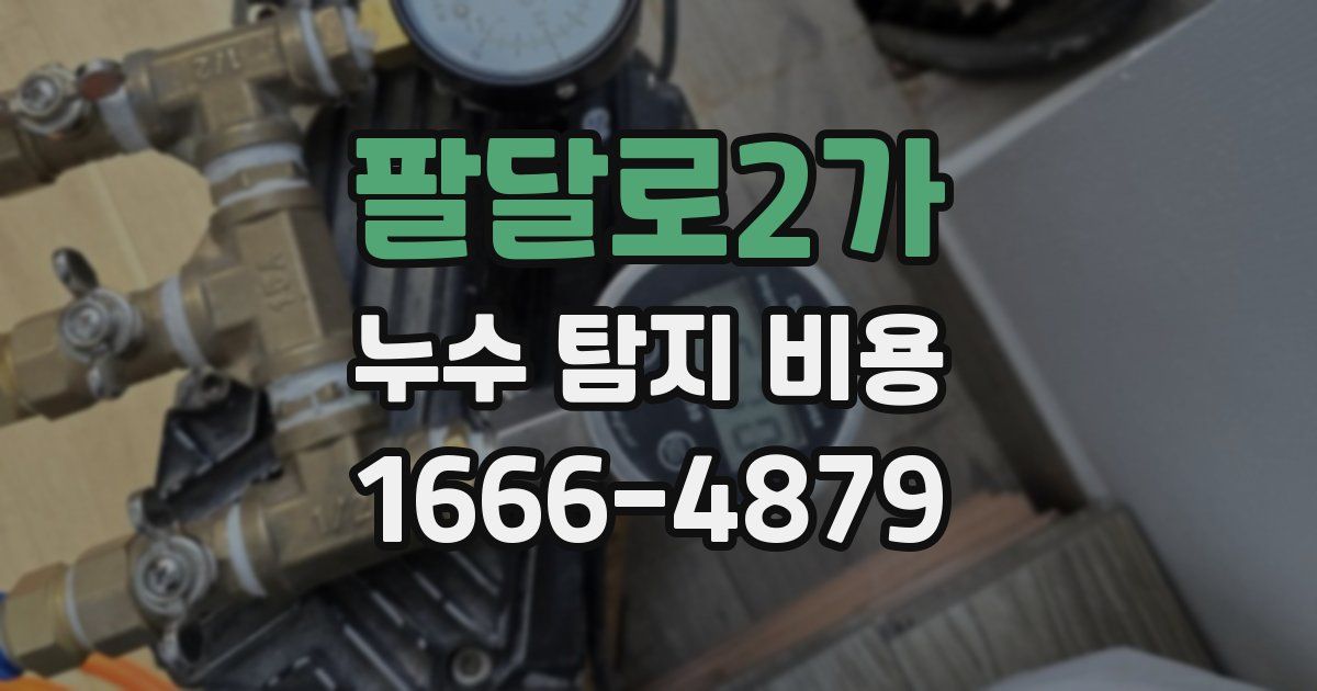 팔달로2가 누수 탐지 비용