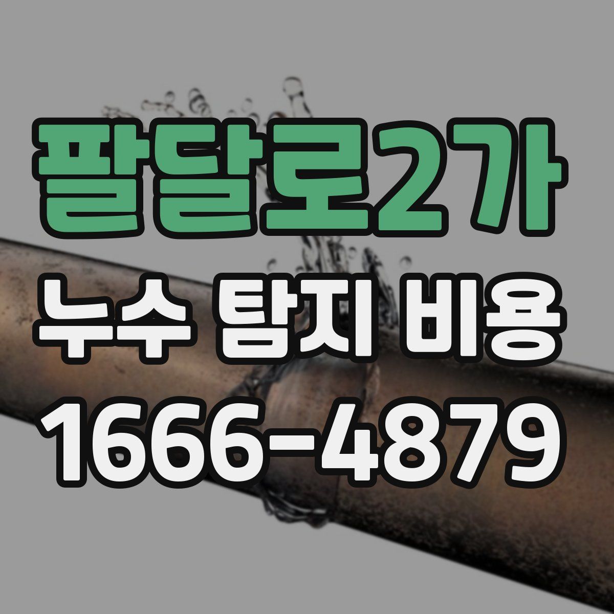 팔달로2가 누수 탐지 비용