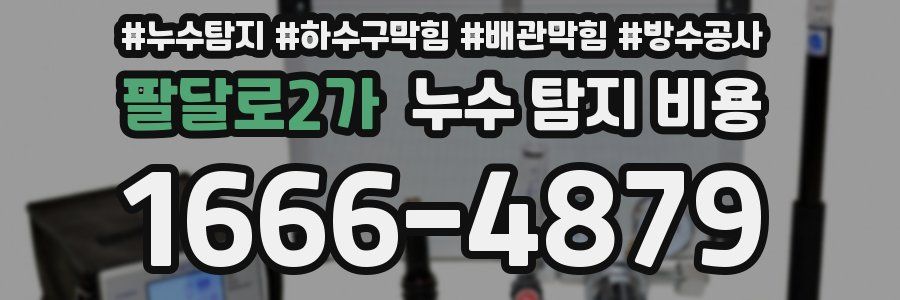 팔달로2가 누수 탐지 비용