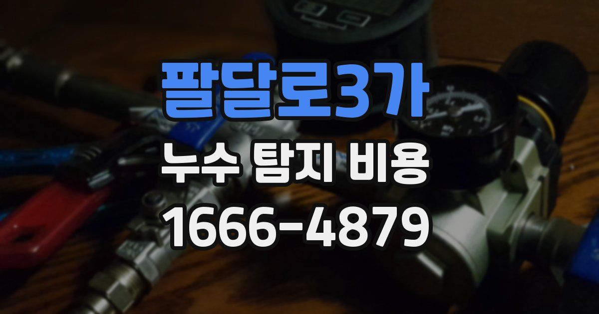 팔달로3가 누수 탐지 비용