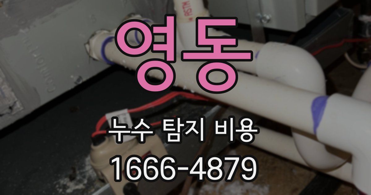 영동 누수 탐지 비용