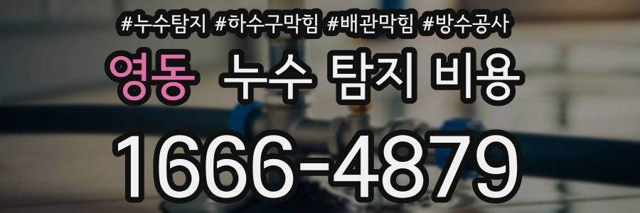 영동 누수 탐지 비용