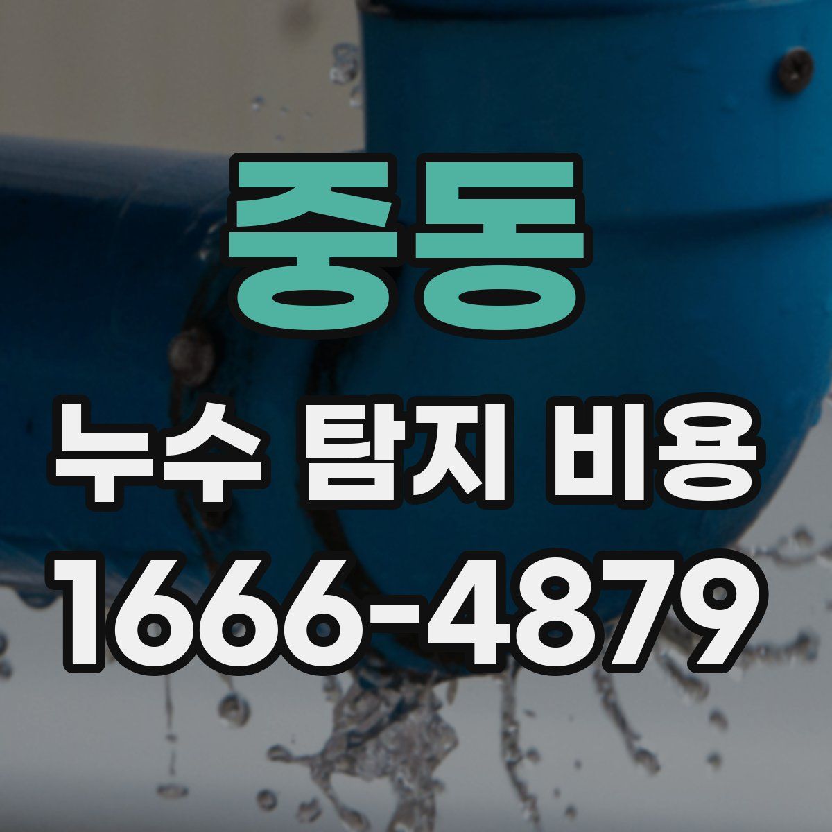 중동 누수 탐지 비용