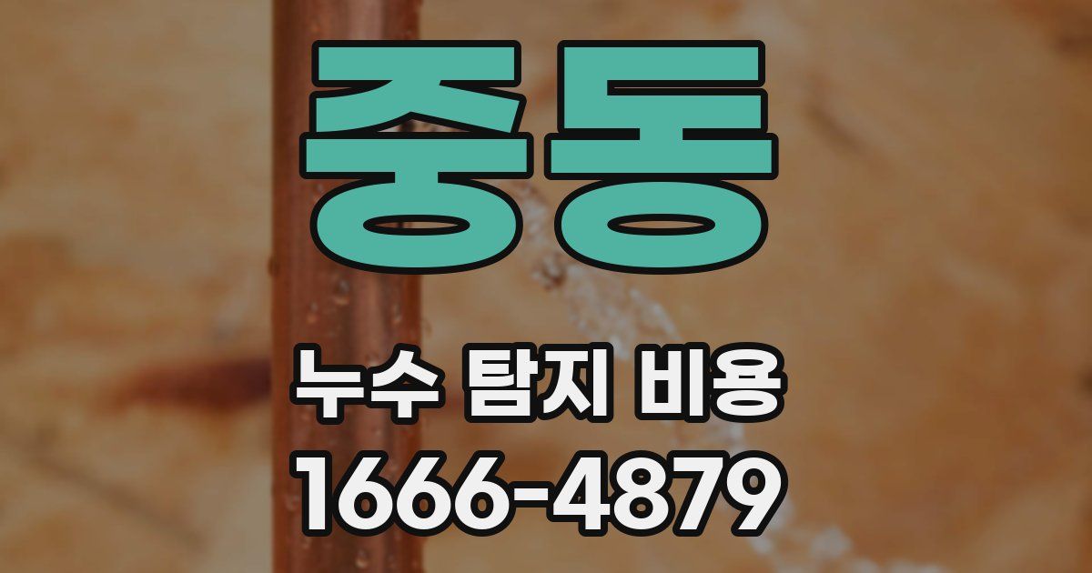중동 누수 탐지 비용