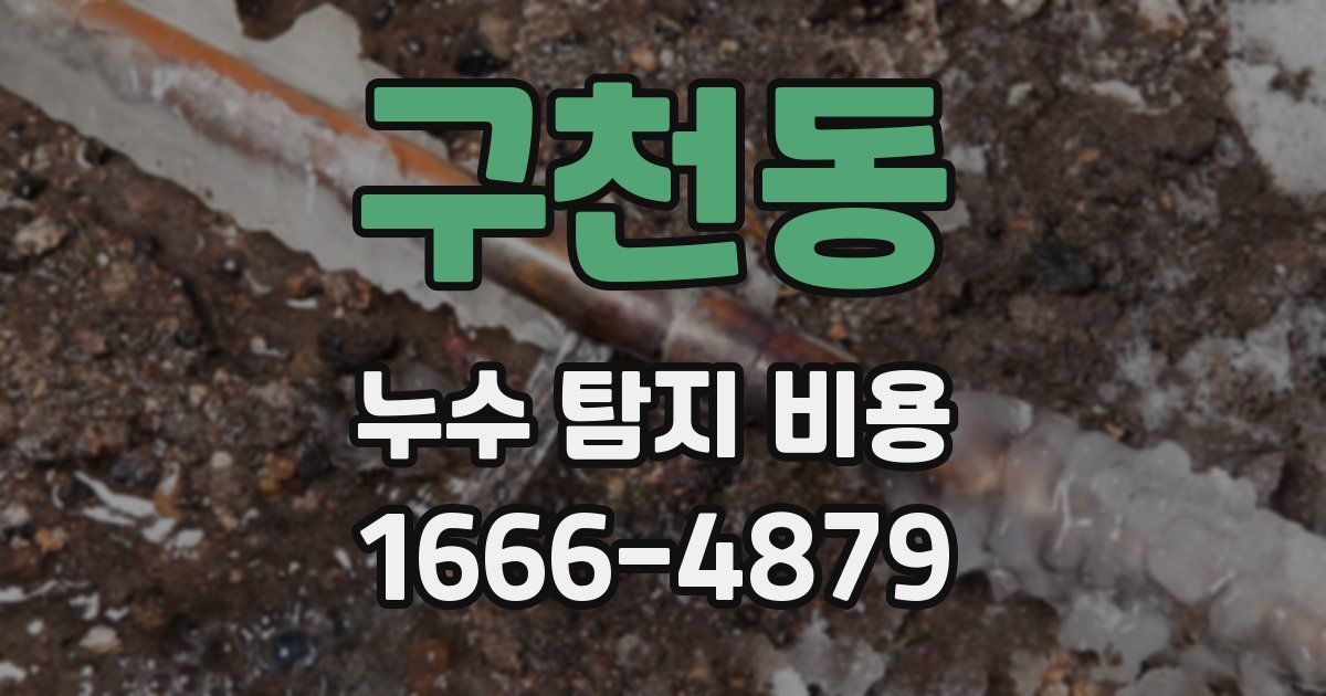 구천동 누수 탐지 비용