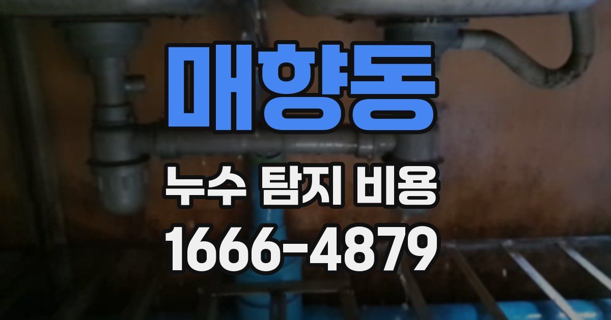 매향동 누수 탐지 비용