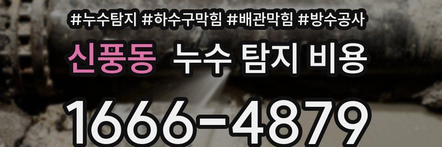 신풍동 누수 탐지 비용