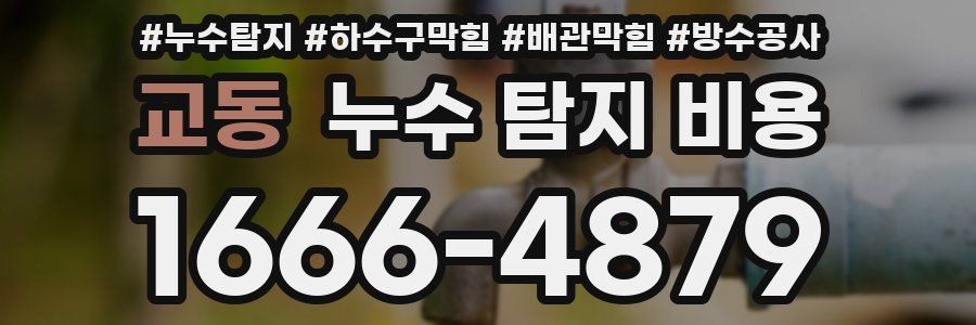 교동 누수 탐지 비용