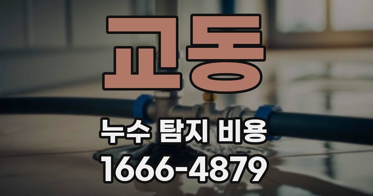 교동 누수 탐지 비용