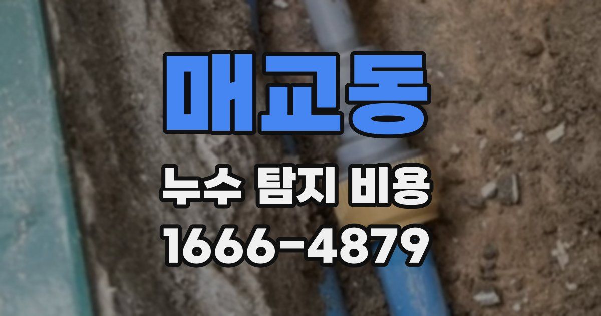 매교동 누수 탐지 비용