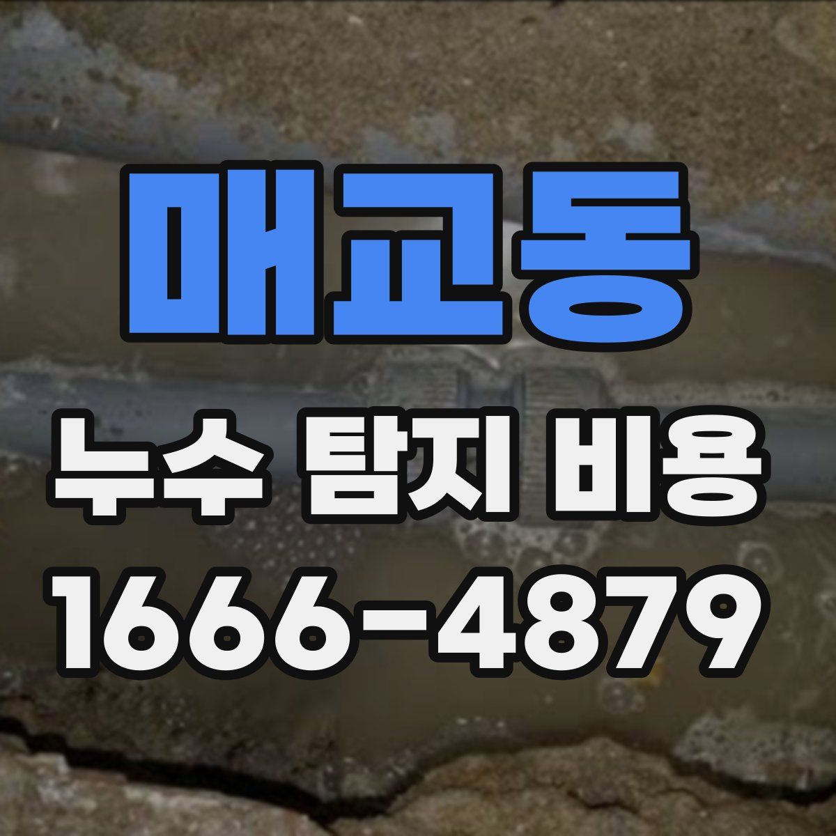 매교동 누수 탐지 비용