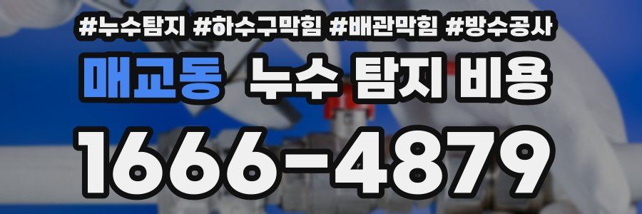 매교동 누수 탐지 비용