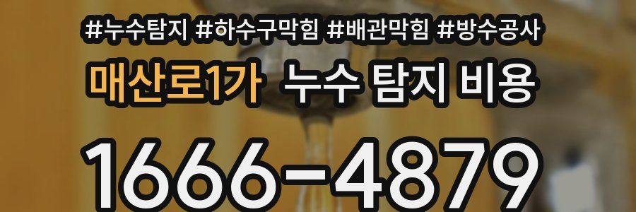 매산로1가 누수 탐지 비용