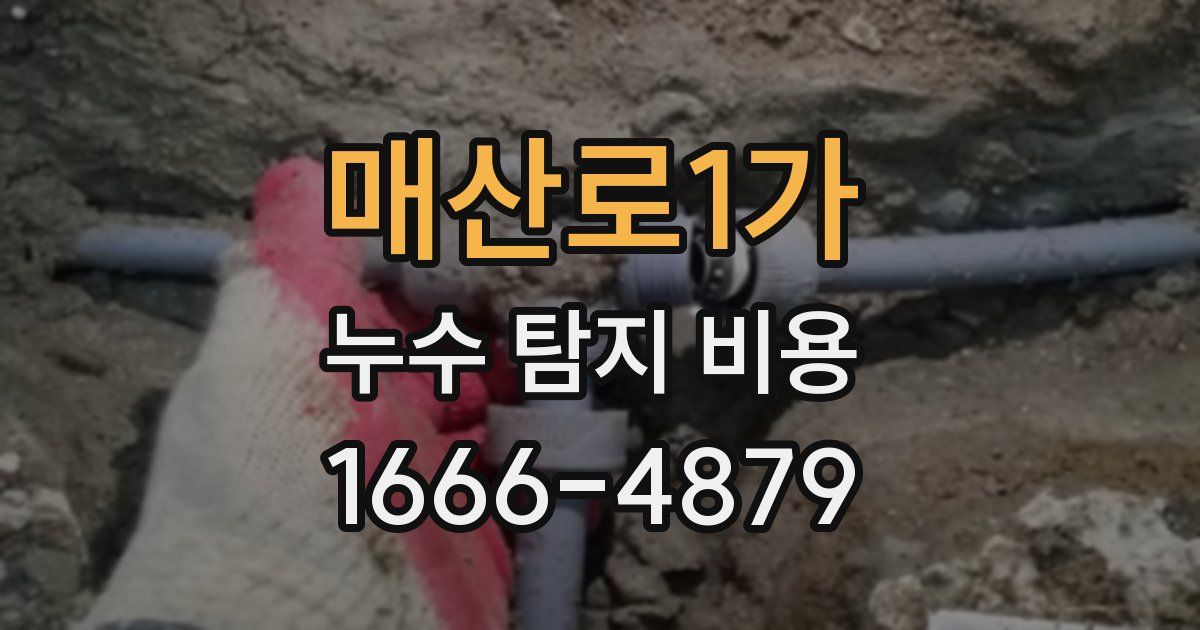 매산로1가 누수 탐지 비용