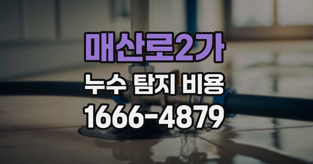 매산로2가 누수 탐지 비용