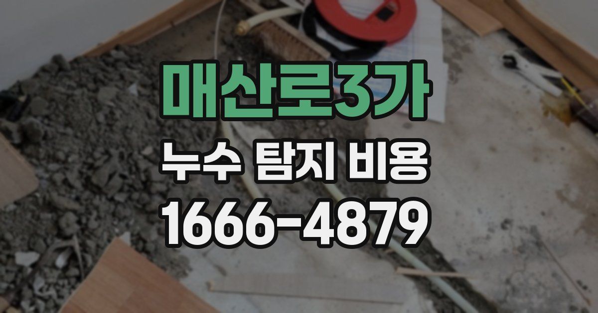 매산로3가 누수 탐지 비용