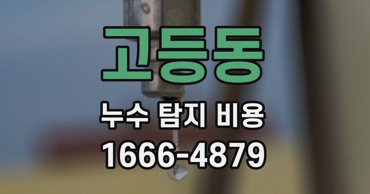 고등동 누수 탐지 비용
