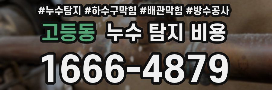 고등동 누수 탐지 비용