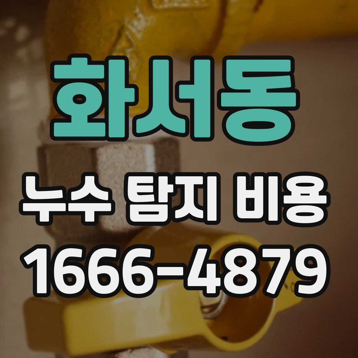 화서동 누수 탐지 비용