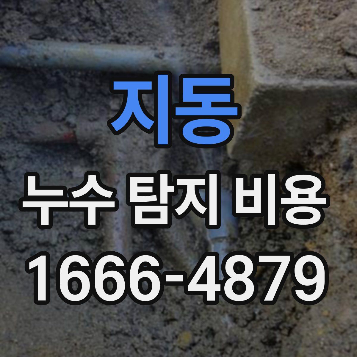 지동 누수 탐지 비용
