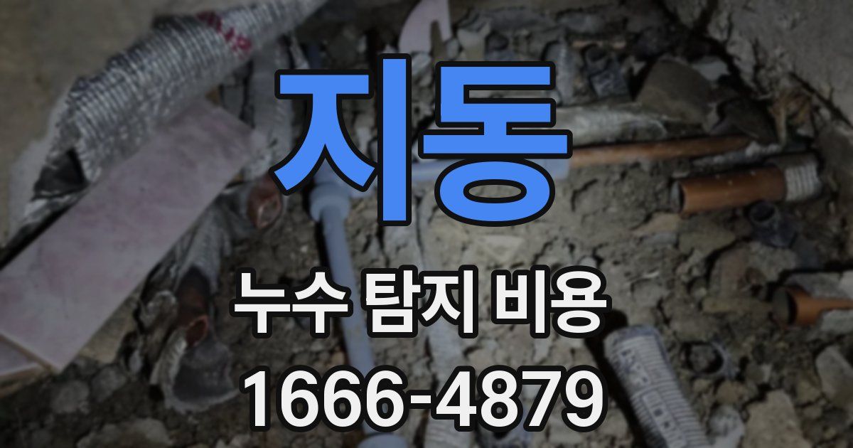 지동 누수 탐지 비용
