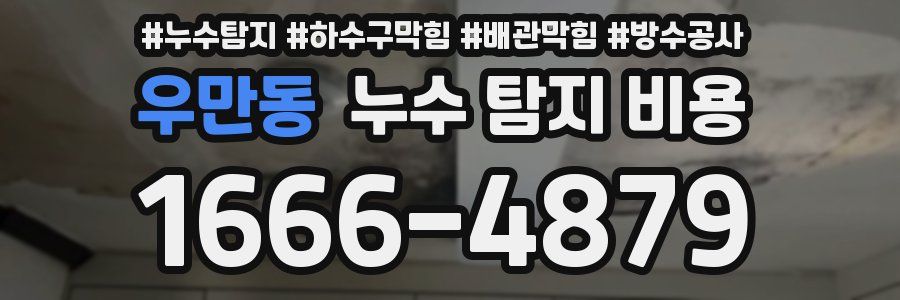 우만동 누수 탐지 비용