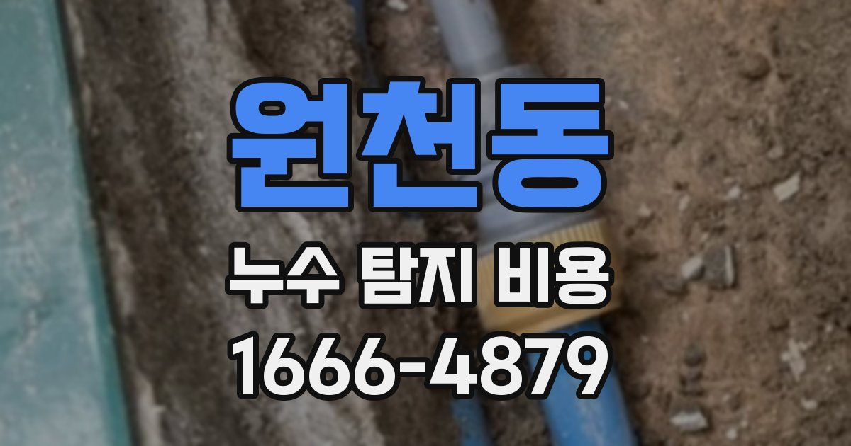 원천동 누수 탐지 비용